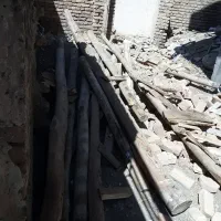 مقداری چوب سالم به فروش می‌رسد