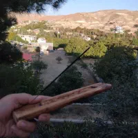 جاعودی  دساز