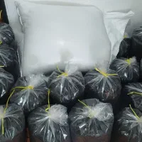 برنج هاشمی درجه1 و چای شمال|خوردنی و آشامیدنی|اشتهارد, |دیوار