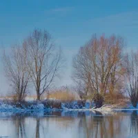 باسلام  ی خونه اپارتمانی یا ویلایی هستم بخرم