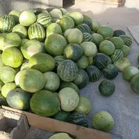 میوه تازه|خوردنی و آشامیدنی|میان جلگه, |دیوار