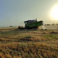 کمباین کلاس مدیون|خودرو سنگین|سبزوار, قصبه غربی|دیوار