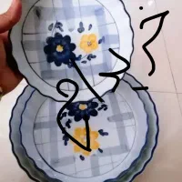 ظروف گل پنبه ای و انگوری