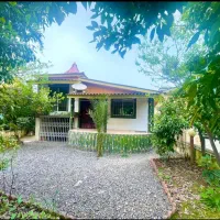 پیلوت-چندسال-ساخت-مناسب-سکونت-دائم-250متر