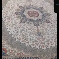 یه جفت فرش ۱۲ متری ۷۰۰ شانه ۲۵۵۰ تراکم|فرش|مشکین‌دشت, |دیوار