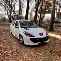 پژو ۲۰۷ لوازمی درحد مدل ۱۴۰۲