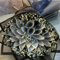 ۵۰۰|گل مصنوعی|محلات, |دیوار