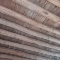 تیره چوب