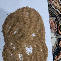 نمایندگی بذر یونجه پایه بلند موسوی|خدمات باغبانی و درختکاری|سقز, |دیوار