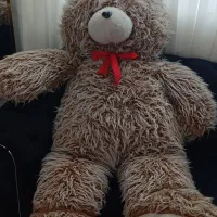 شاسخین سایز بزرگ