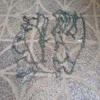 زنجیر چرخ پراید نو