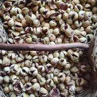 انجیر پرک|خوردنی و آشامیدنی|شیراز, شهرک ترکان|دیوار