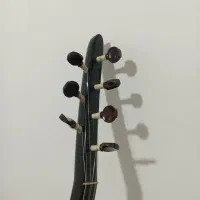 ساز دیوان حرفه‌ای|سازهای سنتی|سنندج, |دیوار