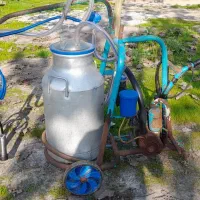 شیردوش|لوازم جانبی حیوانات|آستانه اشرفیه, |دیوار