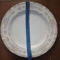 بشقاب غذا خوری