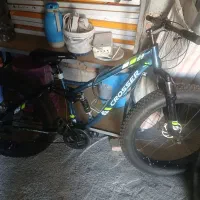 دوچرخ درحد نوع