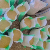 فروش برنج چمپا درجه یک پاک کردن برنج و خورده برنج|خوردنی و آشامیدنی|یاسوج, |دیوار