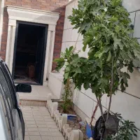 اجاره‌ سوئیت اپارتمان سوییت|اجارهٔ کوتاه‌مدت آپارتمان و سوئیت|چهارباغ, |دیوار