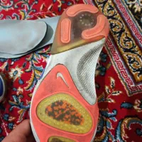 کفش|کیف، کفش، کمربند|کوهدشت, |دیوار