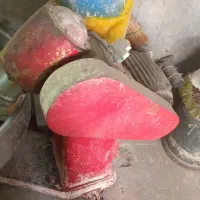 دستگاه خمیر گیری|فروشگاه و مغازه|تهران, جیحون|دیوار