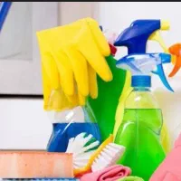 خدمتکار خانم و آقا