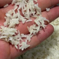 برنج ایرانی