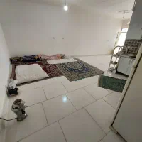 حیاط ویلایی ۱۰۰ متری دو پارکینگه رسالت ۱۵۳
