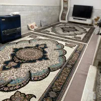 فقط موکت ۲۴ متری
