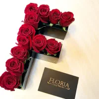 گل سوپر شاین