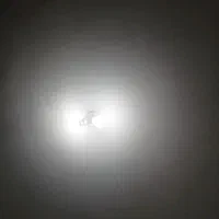 22 راس بز