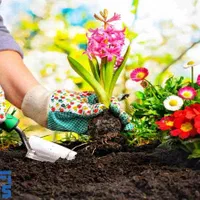 خدمات باغبانی گل کاری هرسکاری وتعویض خاک گلدون|خدمات باغبانی و درختکاری|تهران, تجریش|دیوار