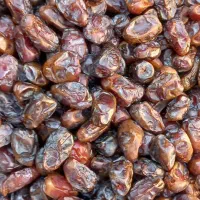 خرمای کبکاب شسته وتمیز خانگی کیلو130فعلا|خوردنی و آشامیدنی|شیراز, احمدآباد|دیوار