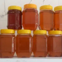 فروش عسل طبیعی کردستان، ژل رویال معجون تقویت جنسی|خوردنی و آشامیدنی|کلاله, |دیوار