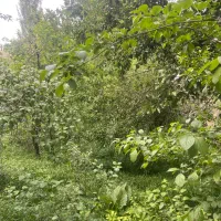 باغ ۱۰۰۰ متری در طرقبه