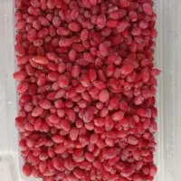 زرشک تازه پاک شده وآب زرشک قاین