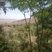 طبیعت گردی