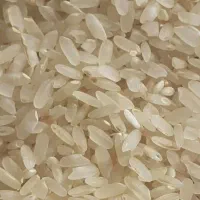 برنج اصلی کامفیروز|خوردنی و آشامیدنی|مهریز, |دیوار