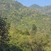 فروش آپارتمان جنگلی سرولات بغل خاورخانم|فروش آپارتمان|چابکسر, |دیوار