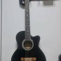 گیتار اکوستیک استگ