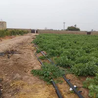 زمین باغ شهری متراژ ۱۰۰۰ متر