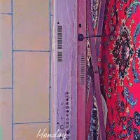 ارگ pa80 تمیز|پیانو، کیبورد، آکاردئون|کرمان, |دیوار