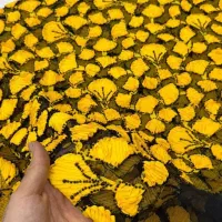 لباس های مجلسی زیبا