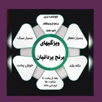 عرضه مستقیم برنج فریدونکنار|خوردنی و آشامیدنی|قم, حنیف نژاد|دیوار