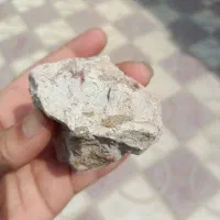 شهاب سنگ دارای فسیل|جواهرات|تهران, ارامنه|دیوار