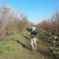 خدمات باغبانی صفر تا صد بادپر|خدمات باغبانی و درختکاری|ماهدشت, |دیوار