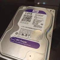هارد ۱ ترابایت WD Purple