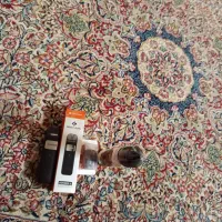 پاد|زیورآلات و اکسسوری|زرند, |دیوار