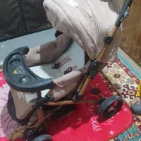 کالسکه مارک دلیجان