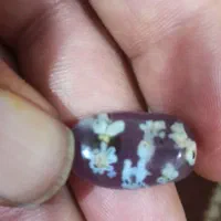 کارگاه سنگ|جواهرات|زابل, |دیوار