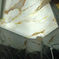 برقکار حرفه ای
